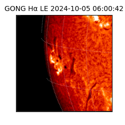 gong - 2024-10-05T06:00:42