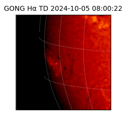 gong - 2024-10-05T08:00:22