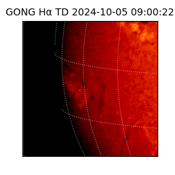 gong - 2024-10-05T09:00:22