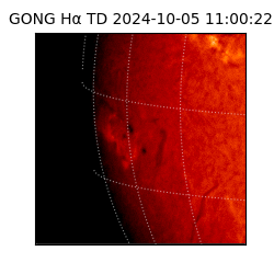 gong - 2024-10-05T11:00:22