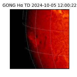 gong - 2024-10-05T12:00:22