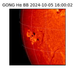 gong - 2024-10-05T16:00:02