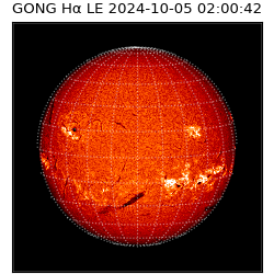 gong - 2024-10-05T02:00:42