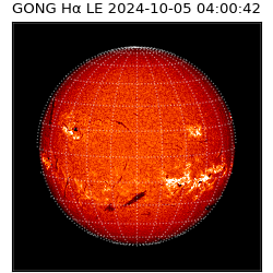 gong - 2024-10-05T04:00:42