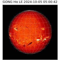 gong - 2024-10-05T05:00:42