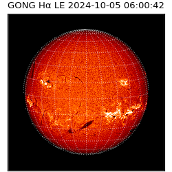 gong - 2024-10-05T06:00:42