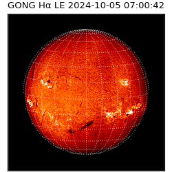 gong - 2024-10-05T07:00:42