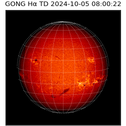 gong - 2024-10-05T08:00:22