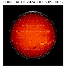 gong - 2024-10-05T09:00:22