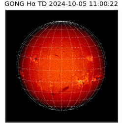 gong - 2024-10-05T11:00:22