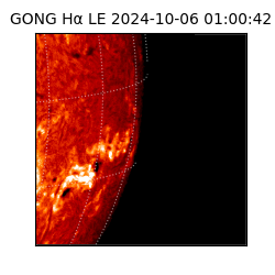 gong - 2024-10-06T01:00:42