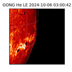 gong - 2024-10-06T03:00:42