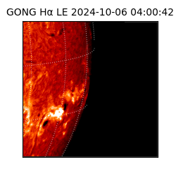 gong - 2024-10-06T04:00:42