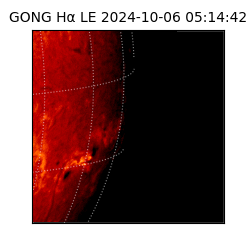 gong - 2024-10-06T05:14:42