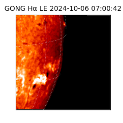 gong - 2024-10-06T07:00:42