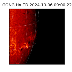 gong - 2024-10-06T09:00:22