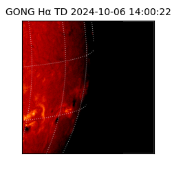 gong - 2024-10-06T14:00:22