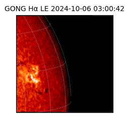 gong - 2024-10-06T03:00:42