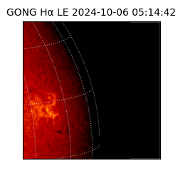 gong - 2024-10-06T05:14:42