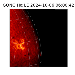 gong - 2024-10-06T06:00:42