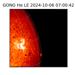 gong - 2024-10-06T07:00:42