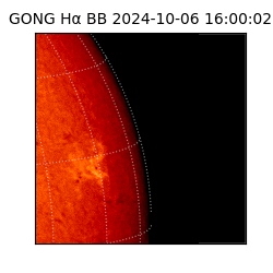 gong - 2024-10-06T16:00:02