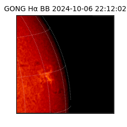 gong - 2024-10-06T22:12:02