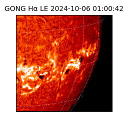 gong - 2024-10-06T01:00:42
