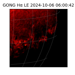 gong - 2024-10-06T06:00:42