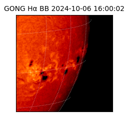 gong - 2024-10-06T16:00:02