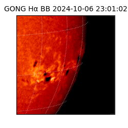 gong - 2024-10-06T23:01:02