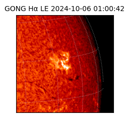 gong - 2024-10-06T01:00:42