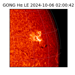 gong - 2024-10-06T02:00:42