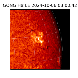 gong - 2024-10-06T03:00:42