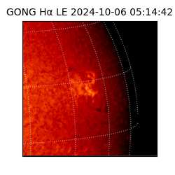gong - 2024-10-06T05:14:42