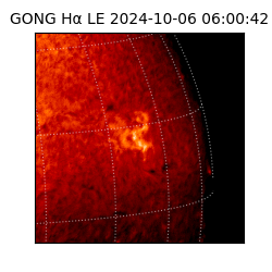 gong - 2024-10-06T06:00:42