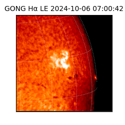 gong - 2024-10-06T07:00:42