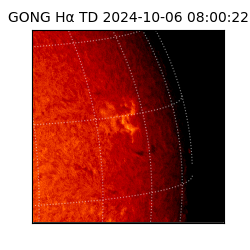 gong - 2024-10-06T08:00:22