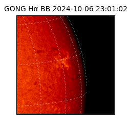 gong - 2024-10-06T23:01:02