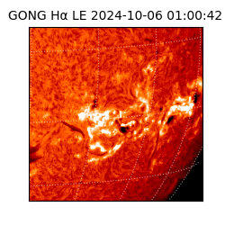 gong - 2024-10-06T01:00:42