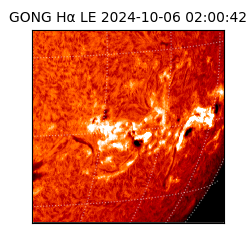 gong - 2024-10-06T02:00:42
