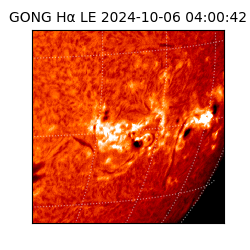 gong - 2024-10-06T04:00:42