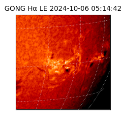 gong - 2024-10-06T05:14:42