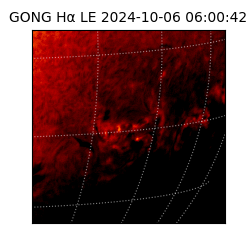 gong - 2024-10-06T06:00:42