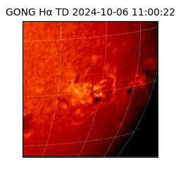 gong - 2024-10-06T11:00:22