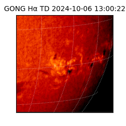 gong - 2024-10-06T13:00:22