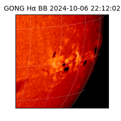gong - 2024-10-06T22:12:02