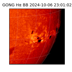 gong - 2024-10-06T23:01:02