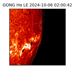 gong - 2024-10-06T02:00:42