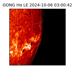 gong - 2024-10-06T03:00:42